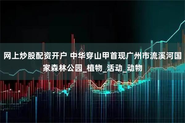 网上炒股配资开户 中华穿山甲首现广州市流溪河国家森林公园_植物_活动_动物